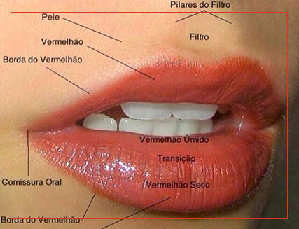 Preenchimento Labial Iso Clínica